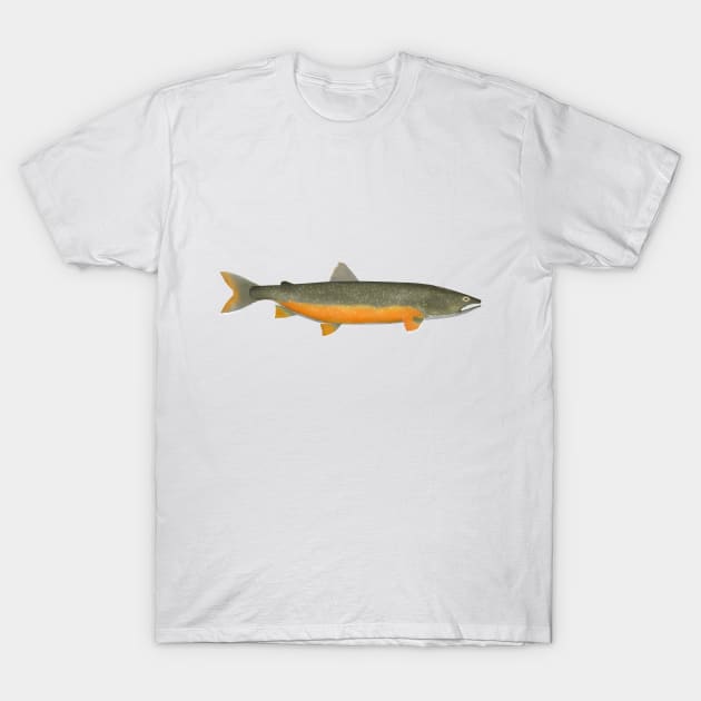 Lake Trout T-Shirt by FishFolkArt